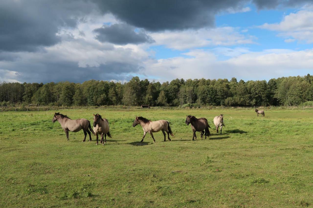 Vila Agroturystyka Kresowka Lubycza Krolewska Exteriér fotografie